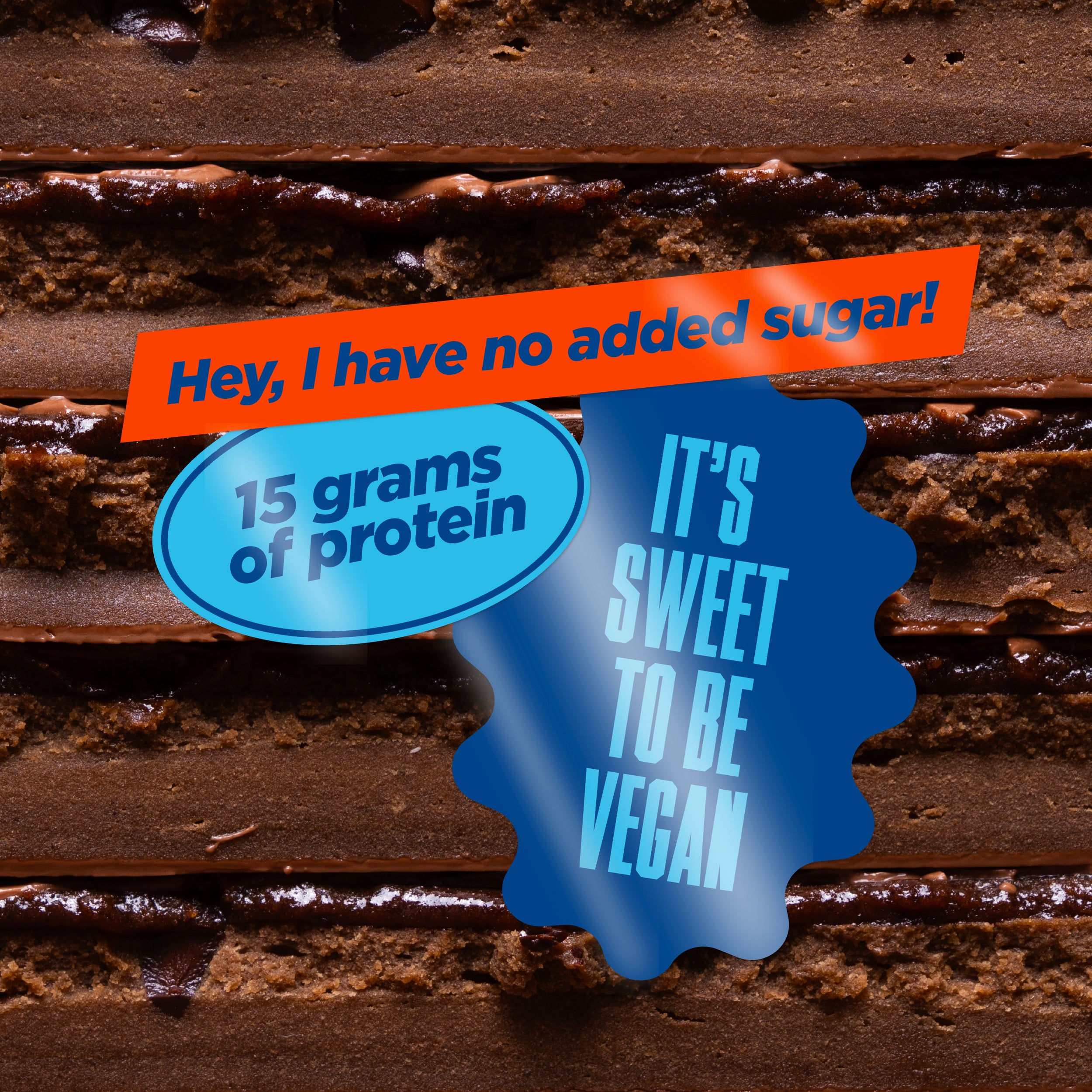 Vegan Protein Bars | Dairy Free & Plant Based Protein Bars