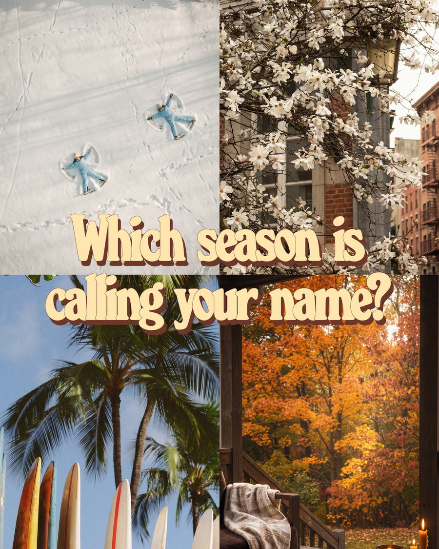 We’ve got something for every season…👀😋 which one is your favorite?